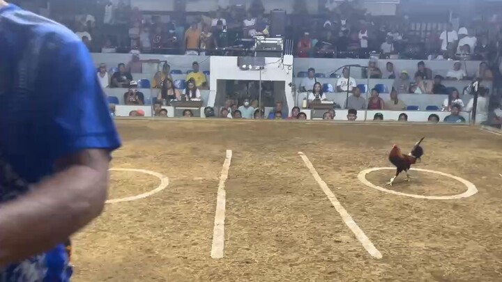 first fight win binan