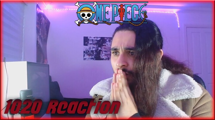 THE DOG DOG FRUIT!! | One Piece Chapter 1020 Reaction