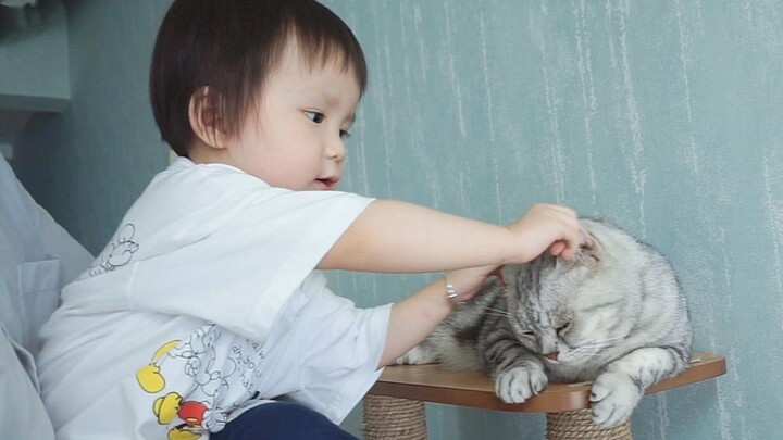 The naughty kid finally turned on the cat! Cat: Ten dried fish snacks aren’t enough to win me back!