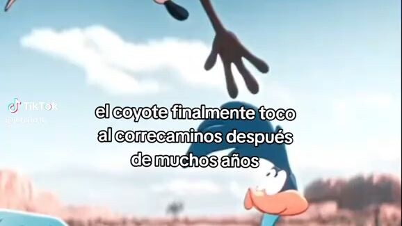 coyote vs acme