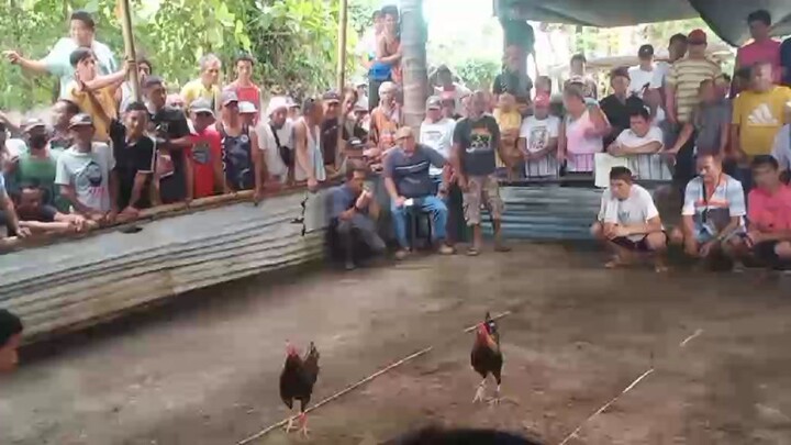 maliit pero magaling red kelso triple c gf