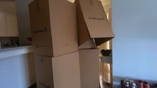 fun box