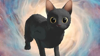 《猫猫的奇幻漂流》导演应中国影迷要求制作旋转猫鬼畜表情包：这就是赢了奥斯卡之后会做的事