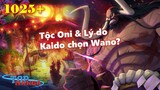 [One Piece 1025+]. Tộc Oni & Lý do Kaido chọn Wano?