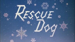 Walt-Disney-Rescue-Dog