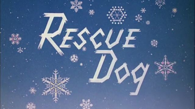 Walt-Disney-Rescue-Dog