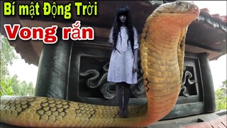 Bí Mật Động Trời Về Chuyện Tâm Linh . Vong Linh 1 Nam 1 Nữ Ngự Trên Cặp Rắn Hổ Mang Chúa| Khôi Tv