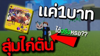 สุ่มไก่ตันราคาถูก 1บาท จะได้จริงไหม? | Blox Fruits