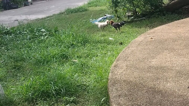 sana lumaki kau ng malusog☺️