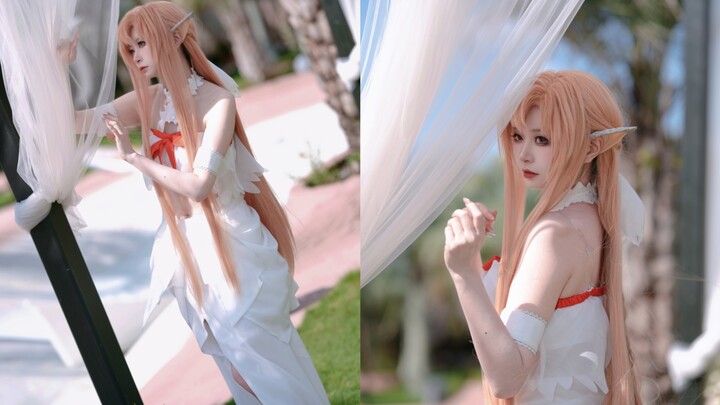 Apakah ini Asuna, si elf yang kamu buang?