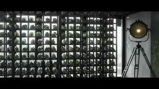 THE BODYGUARD *action comedy surbran ganada neto mag enenjoy k