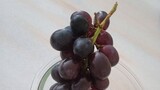 [Eng Sub] 6 health benefits of eating black grapes