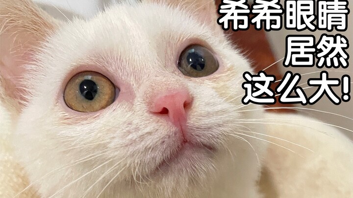 太好啦！希希的眼睛保住啦！