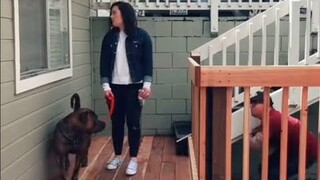 Scare Cam Pranks 2023 | Funny Scare Prank | Jump Scare | Funny Compilation #105