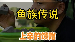 أساطير السمك: هبة الله