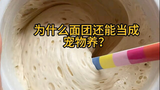ทำไมจึงสามารถเลี้ยงโดว์เป็นสัตว์เลี้ยงได้?