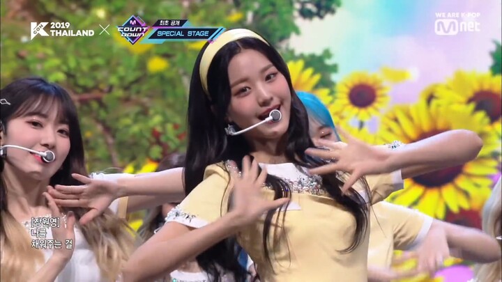 IZONE Sunflower performance