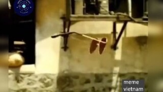 Lại là phim Ấn Độ