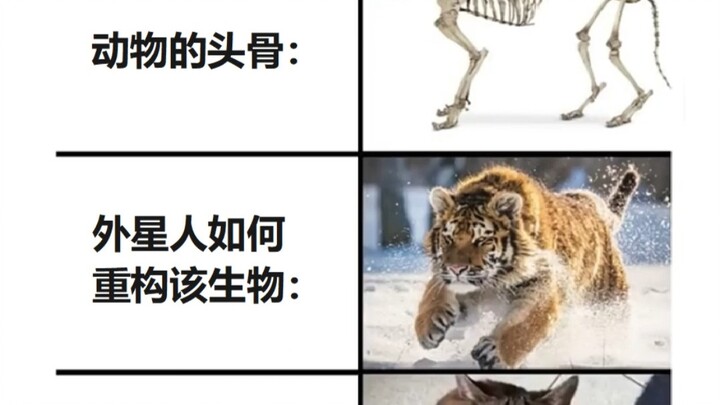 توجه ترفيهي | الجمجمة مقابل الفضائي: كيف نعيد بناء الحيوانات مقابل الحيوانات الحقيقية