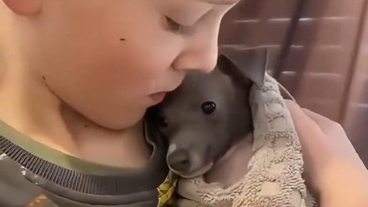 Babies and dogs are the two groups most likely to inspire kindness.