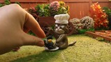 Cute Miniature film about Ginger kitten 😼😆🐦 Funny Cat vs Raven