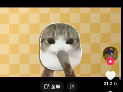 Mèo con trong snack Tortilla Chips ở Trung Quốc cũng đã trở thành xu hướng nổi bật trên TikTok