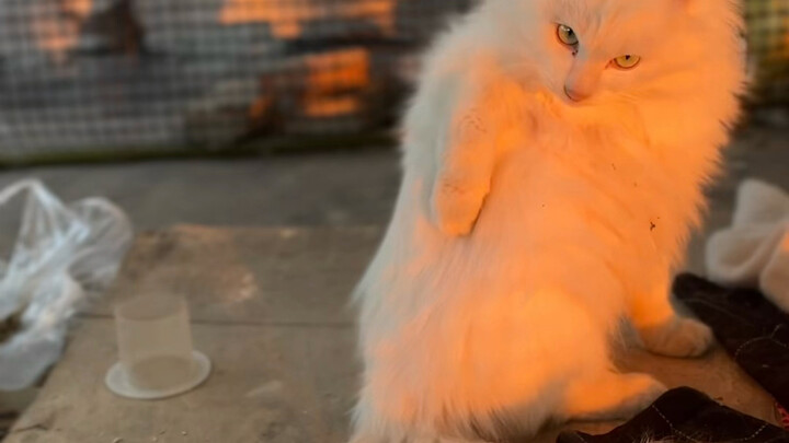 I often find myself fantasizing that you suddenly walk back home…