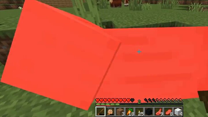 Playing Minecraft for the first time