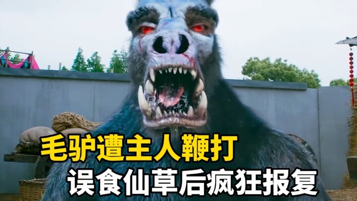 The donkey, constantly bullied, accidentally eats an immortal herb and transforms into a donkey spir