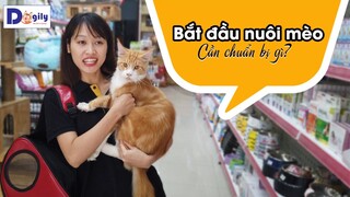 Cẩm nang nuôi mèo - Bắt đầu nuôi mèo cần chuẩn bị gì? Những chi phí cần thiết khi nuôi một bé mèo?