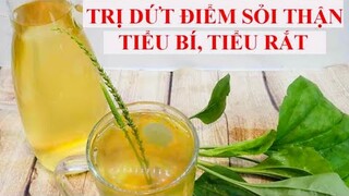 TRỊ DỨT ĐIỂM SỎI THẬN, TIỂU BÍ, TIỂU RẮT, VIÊM ĐƯỜNG TIẾT NIỆU chỉ với 3 THÀNH PHẦN