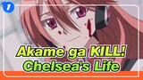 Akame ga KILL!|See Chelsea's whole life in 9 mins|She fought her life to save world，but_1