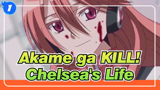 Akame ga KILL!|See Chelsea's whole life in 9 mins|She fought her life to save world，but_1