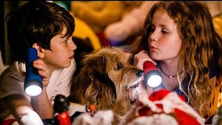 Orphaned Dog Comes To Rescue And Helps Heal A Broken Family