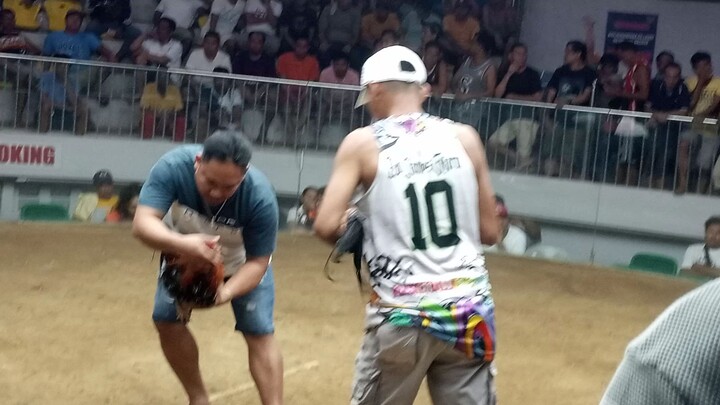 3 wins champion @ Gallera de Mandaue 1st fight/40k