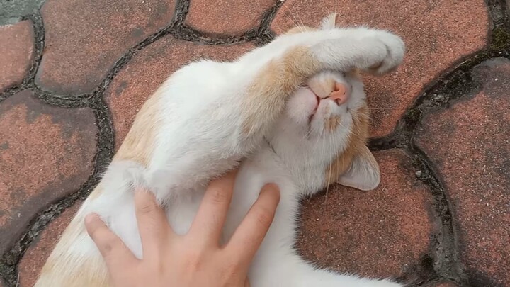 Shocking! A female college student did THIS to a senior while he was sleeping!