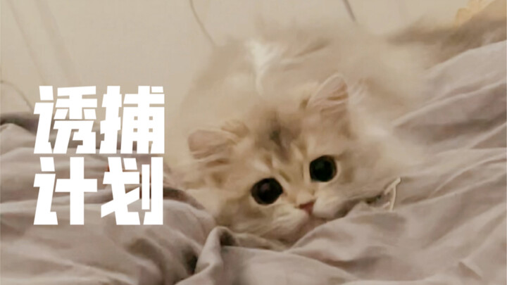 Caught ‘em! My dreams are going to be sweet today!