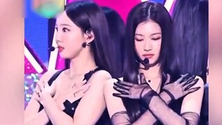 Khoảnh khắc nhảy ngẫu nhiên nổi tiếng của thần tượng Kpop