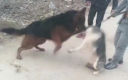 พี่เจอย่าเลย!