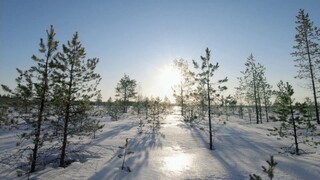 [Tập 1 - Thuyết Minh] Hành tinh băng giá 1 - Frozen Planet (2011) E01