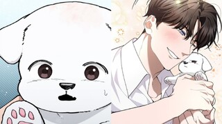 (การ์ตูนเรื่องใหม่) หมาขาวตัวน้อยน่ารักเริ่มสงสารหมาป่าลาวกง! กุ้งเป็นของโปรดของลูกสุนัข