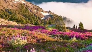 简单的心境，才能拥有快乐的心情，片片美景，且听风吟，感谢一键三连！