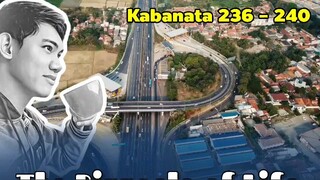 The Pinnacle of Life / Kabanata 236 - 240