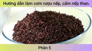 Hướng dẫn làm cơm rượu nếp, cẩm nếp than #5