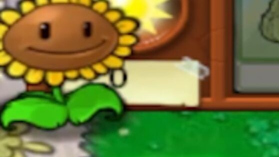 sunflower!!!?