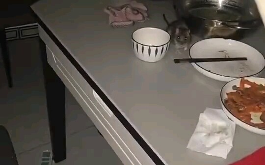 Perlahan mengetuk dan membangunkan jiwa yang terlelap