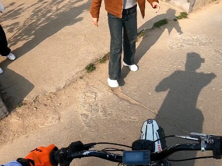 Penggemar minta aku bantu latih anjingnya, tapi begitu anjing itu maju, langsung gigit aku! Mau gigi