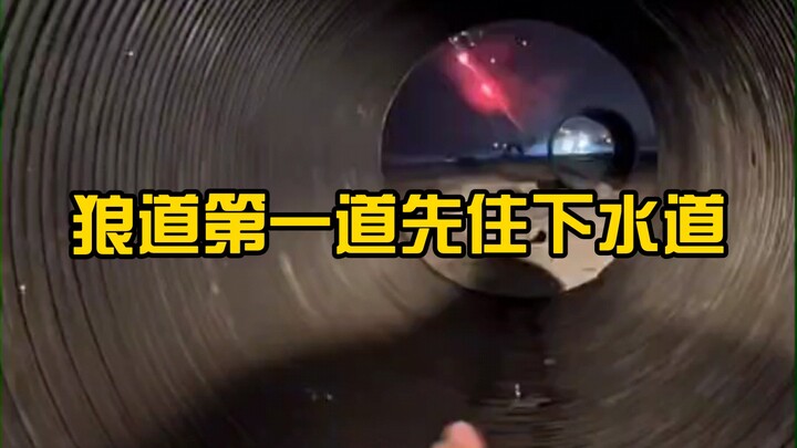 This money was definitely not wasted; I listened to all these songs myself.