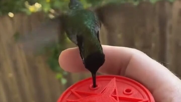 สวัสดี ฟงเหนี่ยวเดลิเวอรี่ สินค้าเดลิเวอรี่ของคุณมาถึงแล้ว