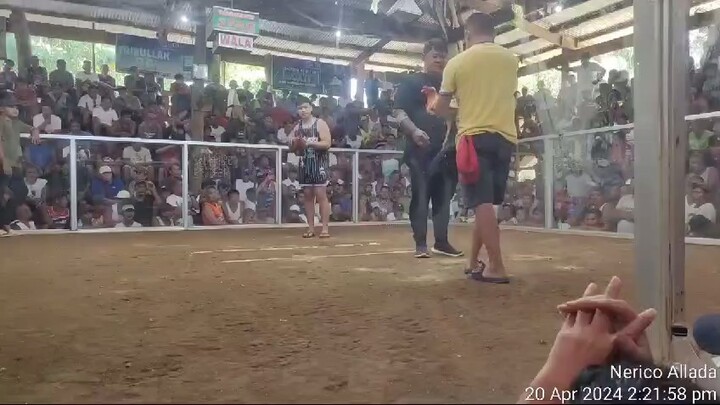 Super 3cocks ulotan in cabay first fight talo april 20 2024